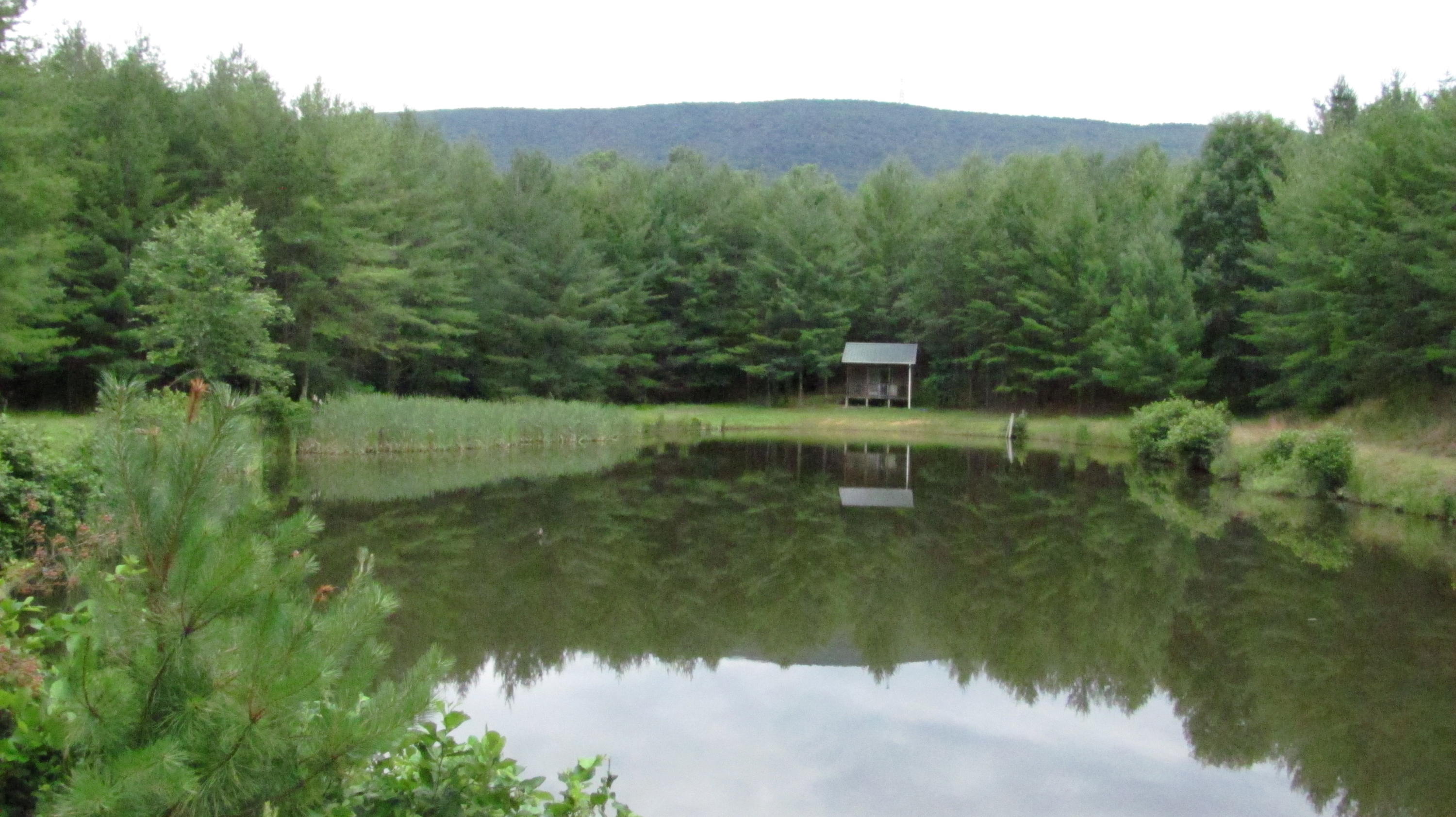 4974 Paint Bank Road New Castle, VA 24127 - Photo 8 of 14 Second Pond w/Cabin