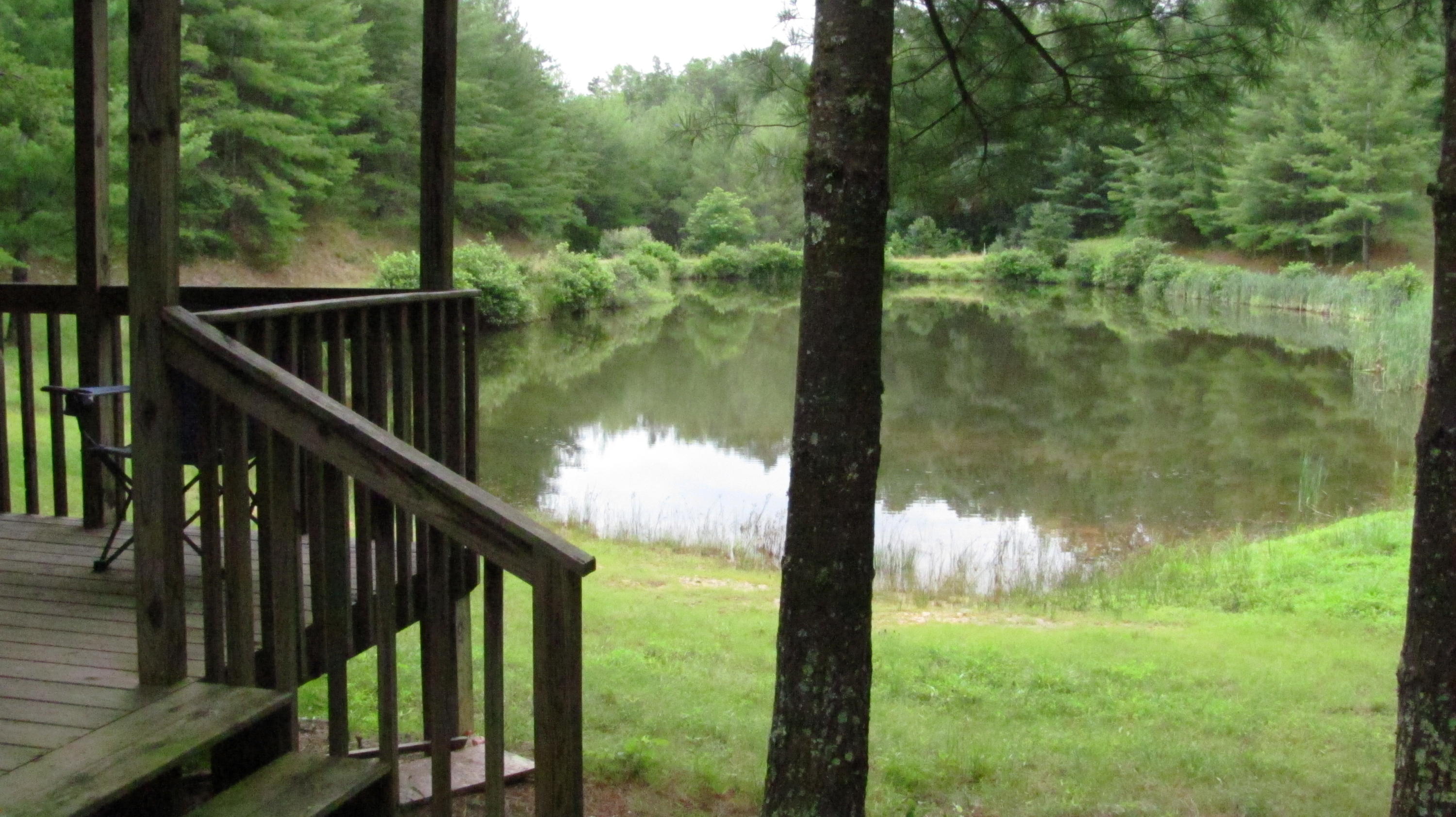 4974 Paint Bank Road New Castle, VA 24127 - Photo 10 of 14 Porch View of Pond