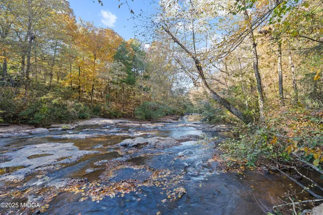 a view of a yard with a tree