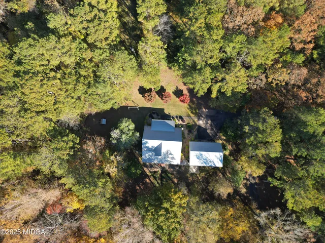 a view of a bird of flowers