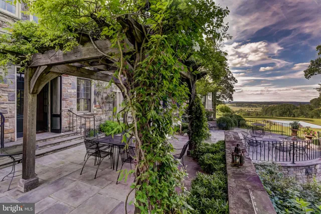 a view of a patio with plants and trees