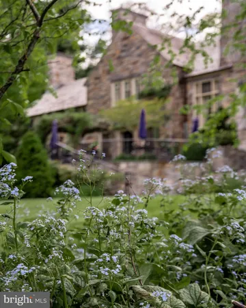 a view of a trees in a yard