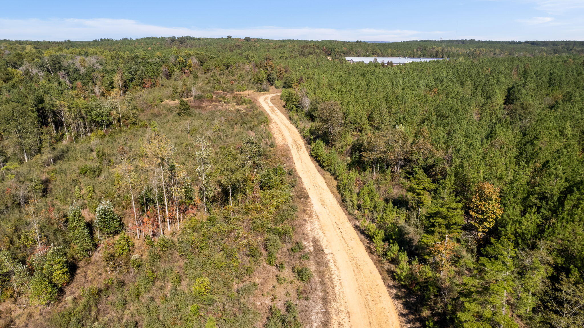 363 Rockhill To Lumberton Road Purvis, MS 39475 - Photo 31 of 71 Gallery Image 31