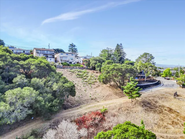 a view of a yard with plants
