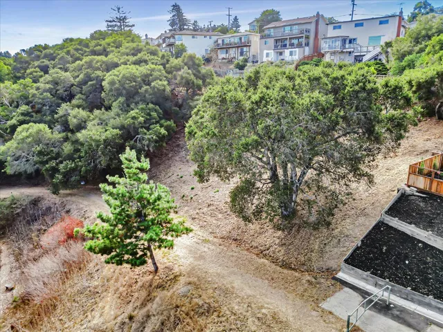a view of a yard with plants and trees