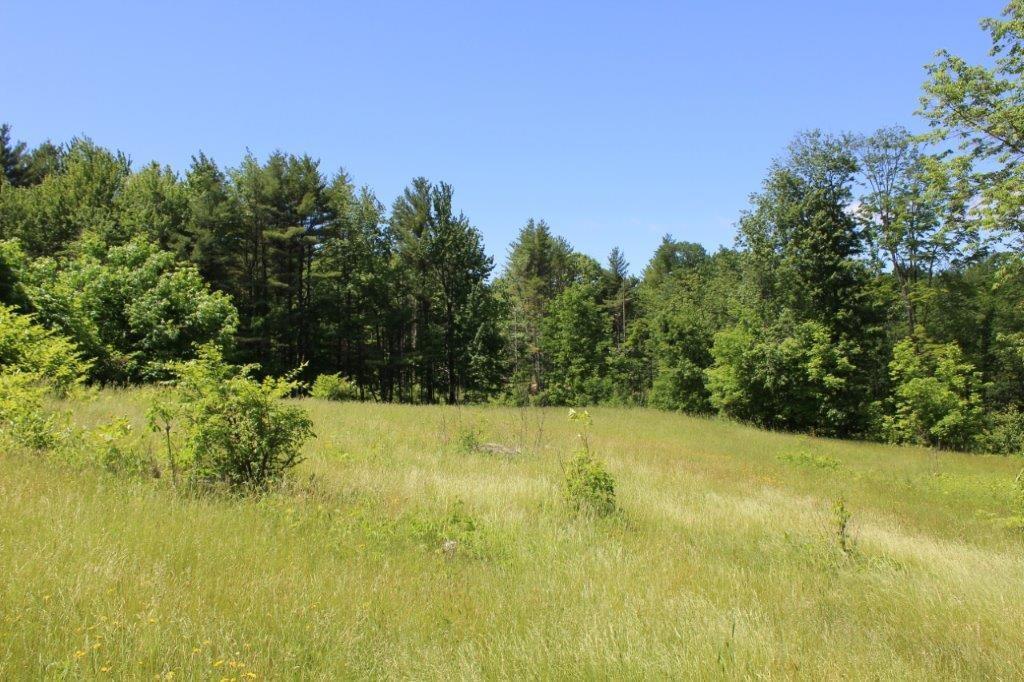 45 Libby Road Newfield, ME 04095 - Photo 32 of 35 Field