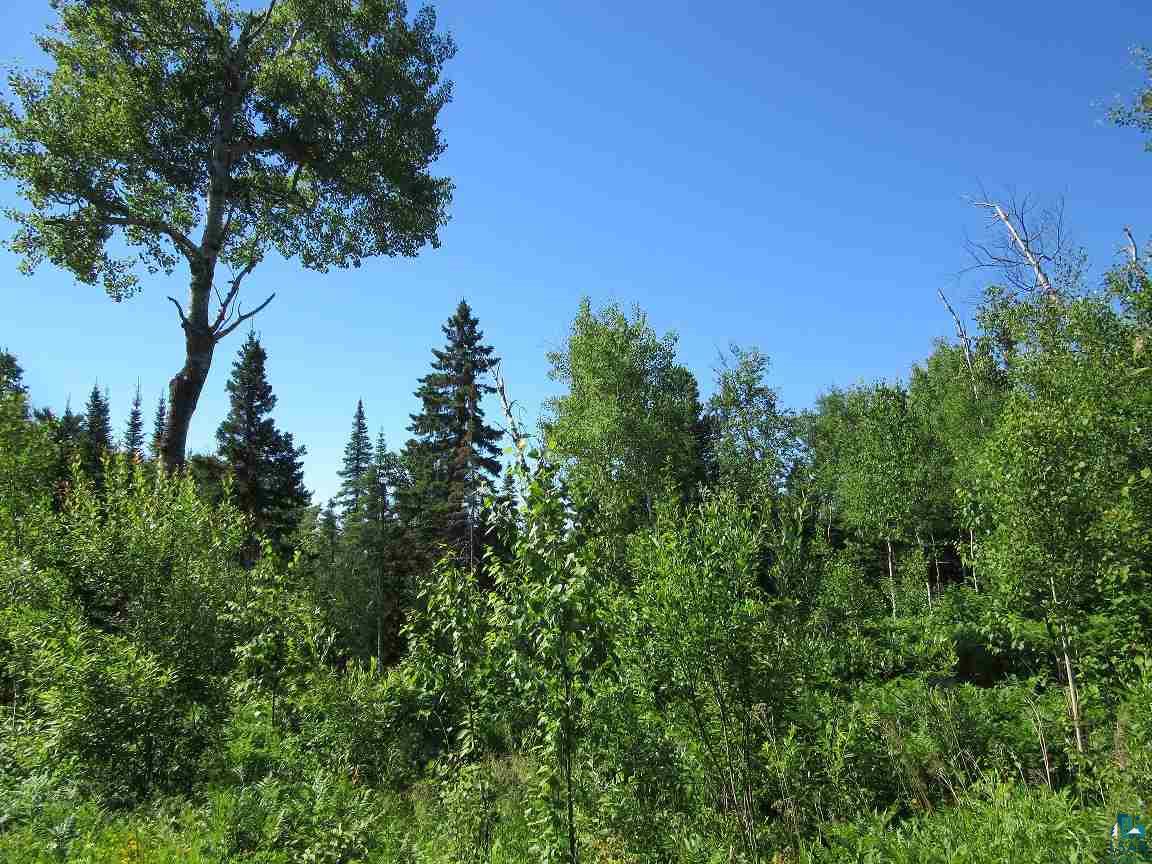 4187 Liberty Road Two Harbors, MN 55616 - Photo 19 of 23 Gallery Image 19