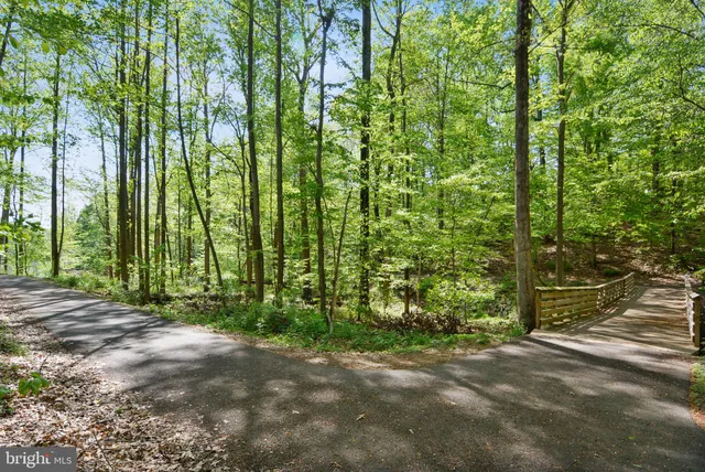 a view of park with trees