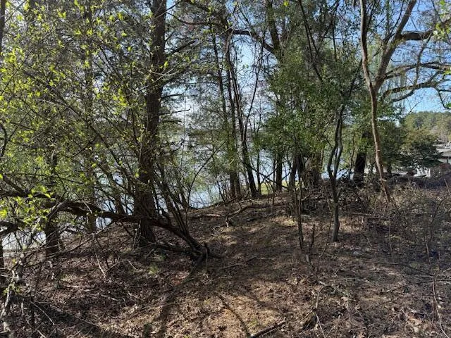 a view of outdoor space