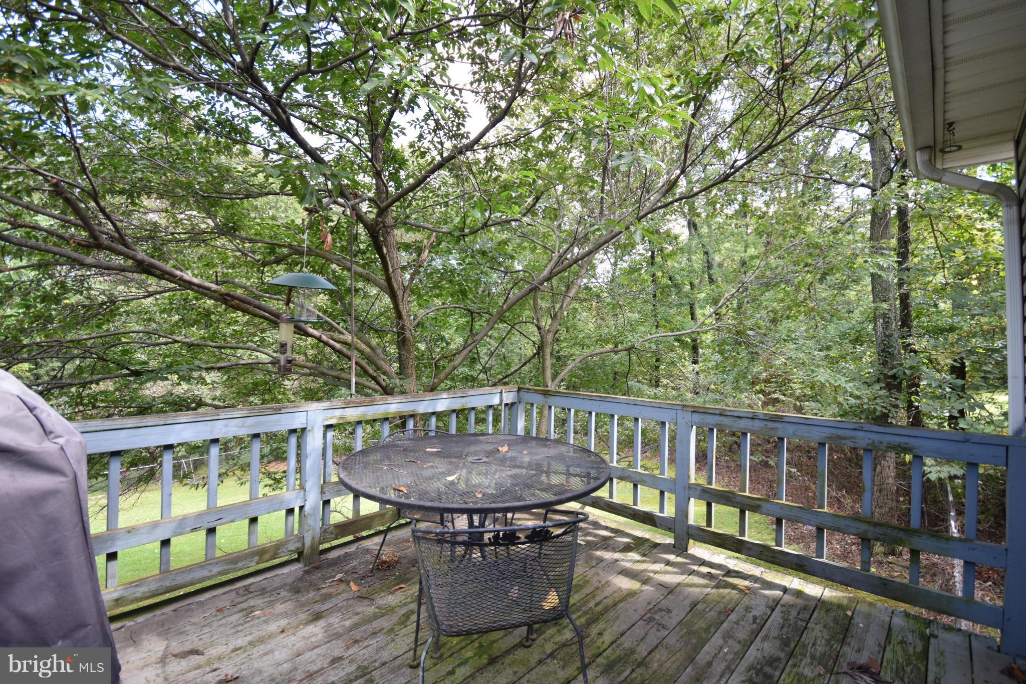 39 Parkside Road Linden, VA 22642 - Photo 8 of 30 Exterior (Rear)