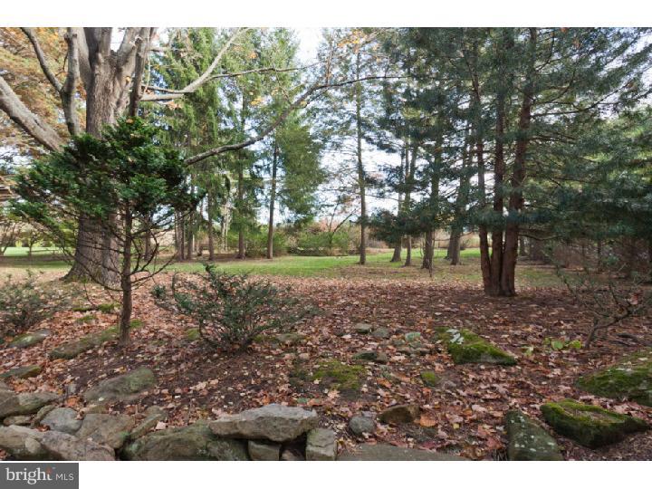 3280 Comfort Road New Hope, PA 18938 - Photo 4 of 25