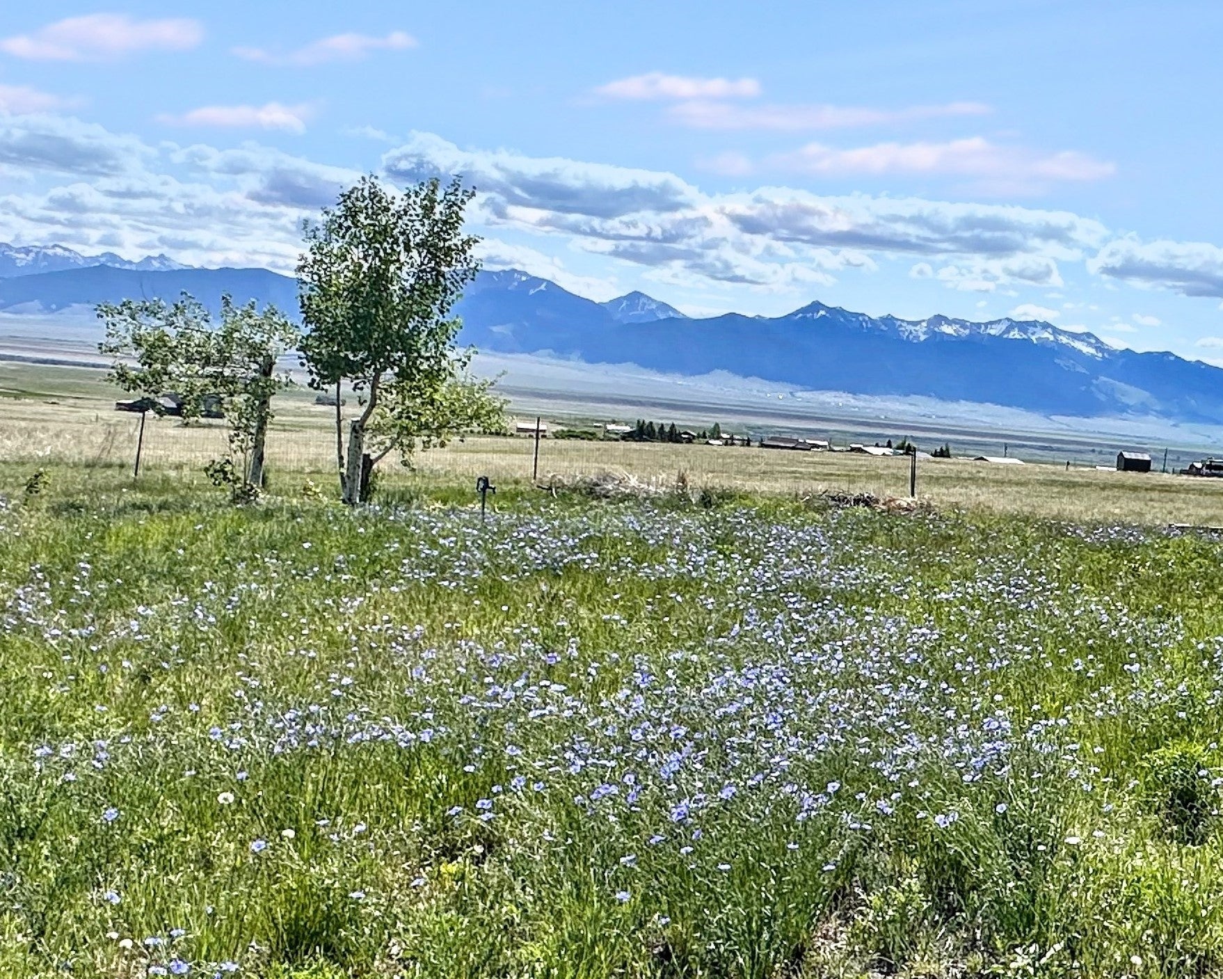 155 Two Bumps Road Ennis, MT 59729 - Photo 5 of 26 Gallery Image 5