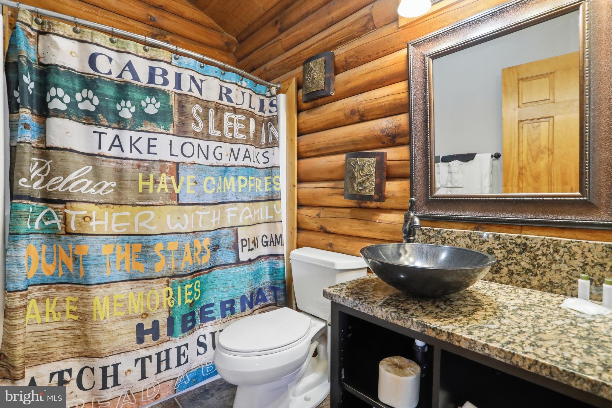 161 Cabin Lodge Road McHenry, MD 21541 - Photo 10 of 27