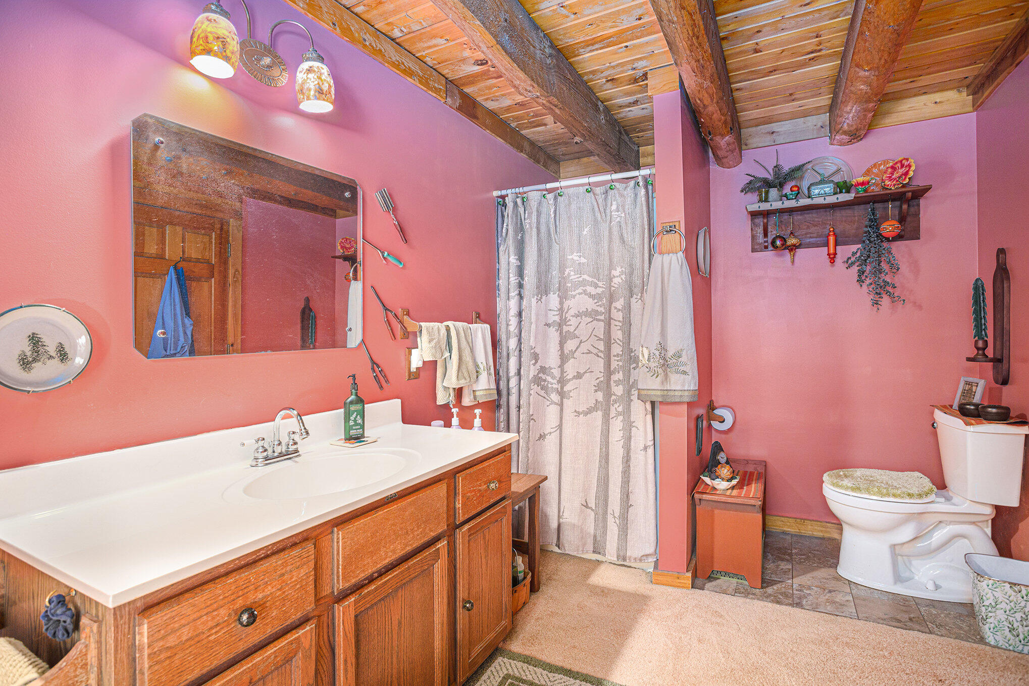 14217 7 Mile Road Northeast Belding, MI 48809 - Photo 20 of 32 022_8l9a1530