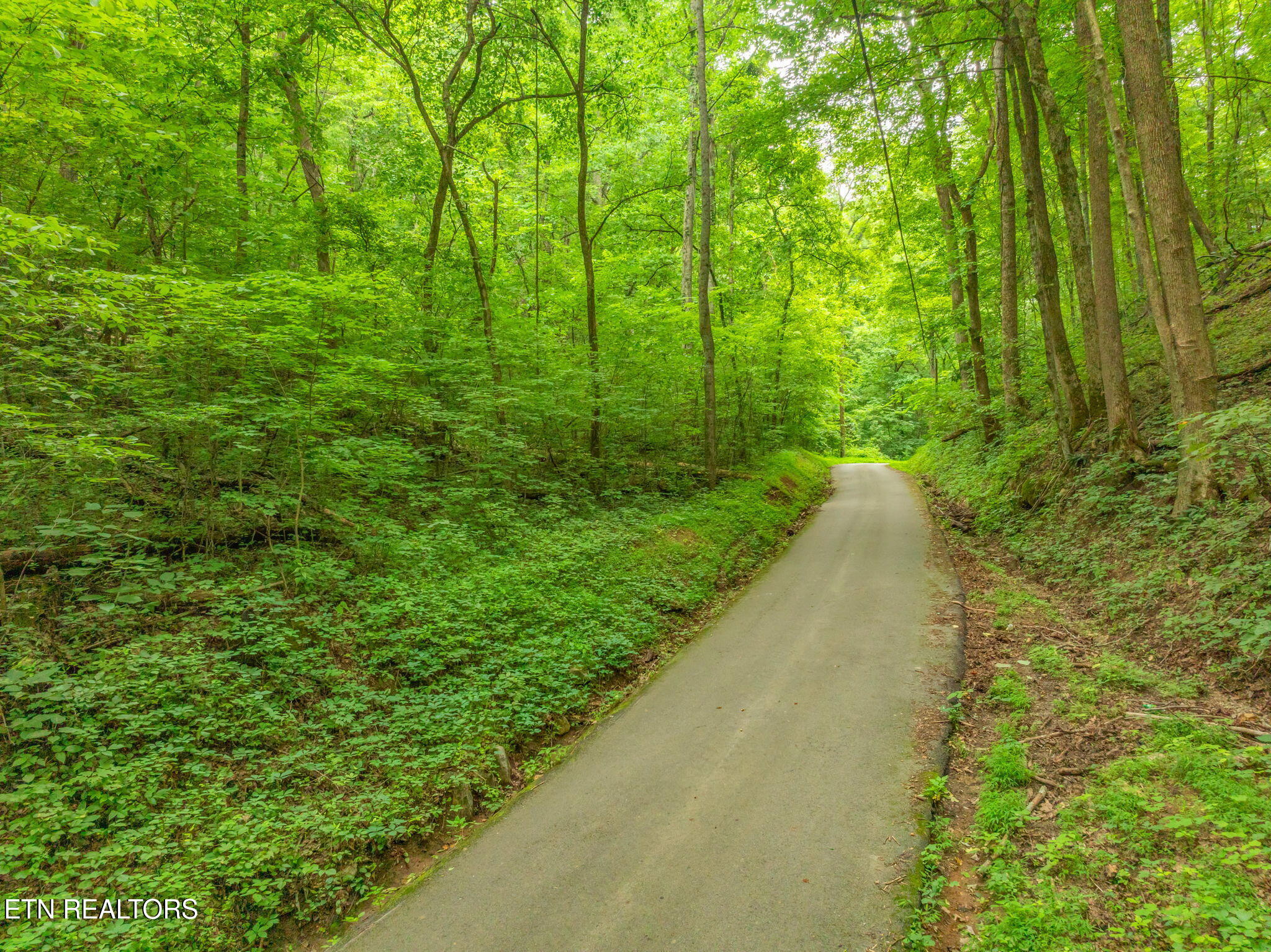 Dunville Gap Road Rutledge, TN 37861 - Photo 14 of 20 15-web-or-mls-Dunville Gap Road-17
