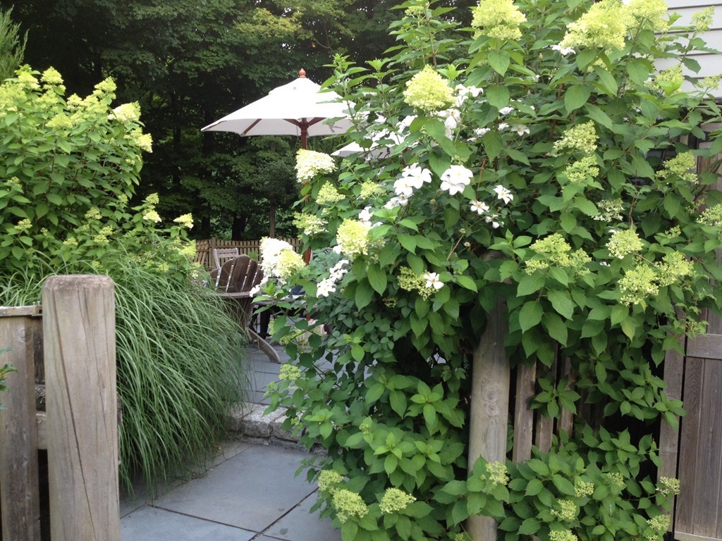 10 Bridge Street Hamilton, MA 01982 - Photo 29 of 30 a view of a tree in a garden