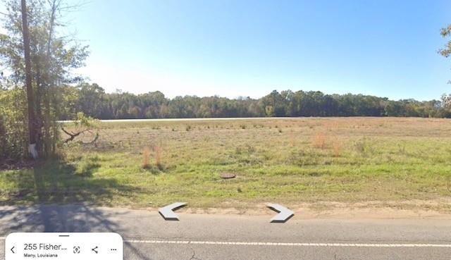 210 Fisher Road Many, LA 71449 - Photo 4 of 13