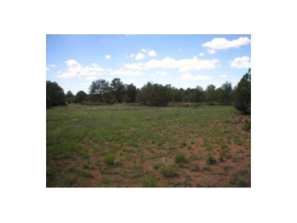 0 North Old Well Road Prescott, AZ 86305 - Photo 1 of 6 a view of a yard