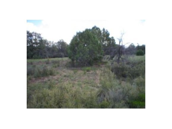 0 North Old Well Road Prescott, AZ 86305 - Photo 6 of 6 a picture of a city view