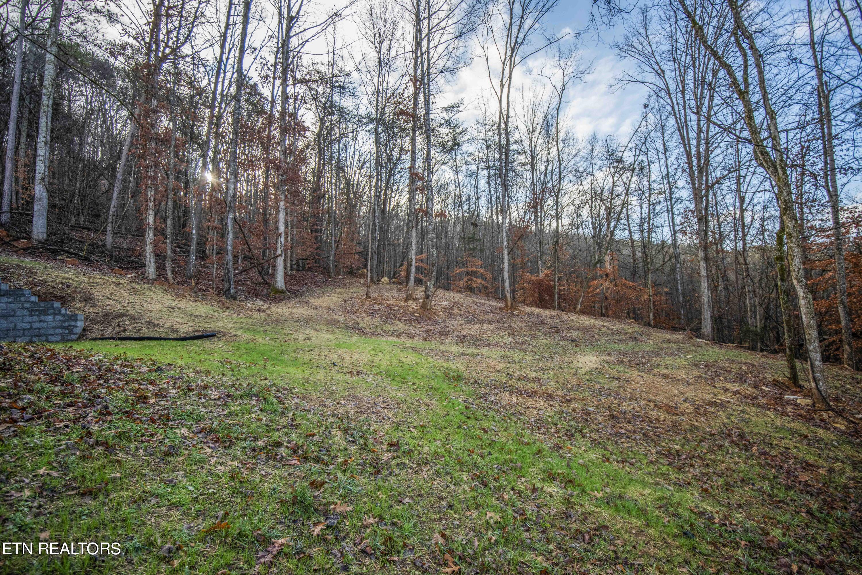 413 Raccoon Valley Road Maynardville, TN 37807 - Photo 4 of 42 yard 7_1