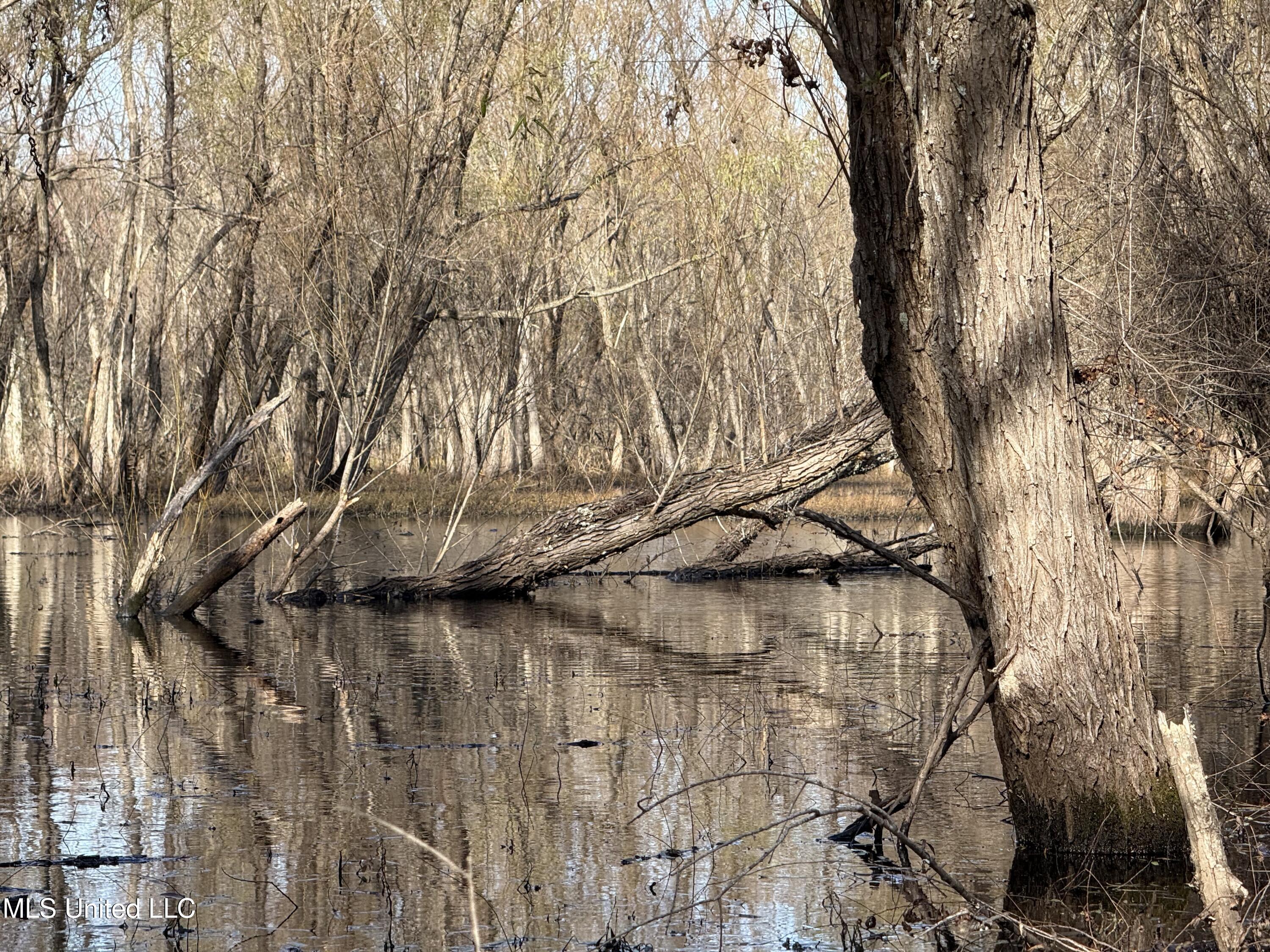 1 Bland Road Lambert, MS 38643 - Photo 1 of 5 IMG_3445
