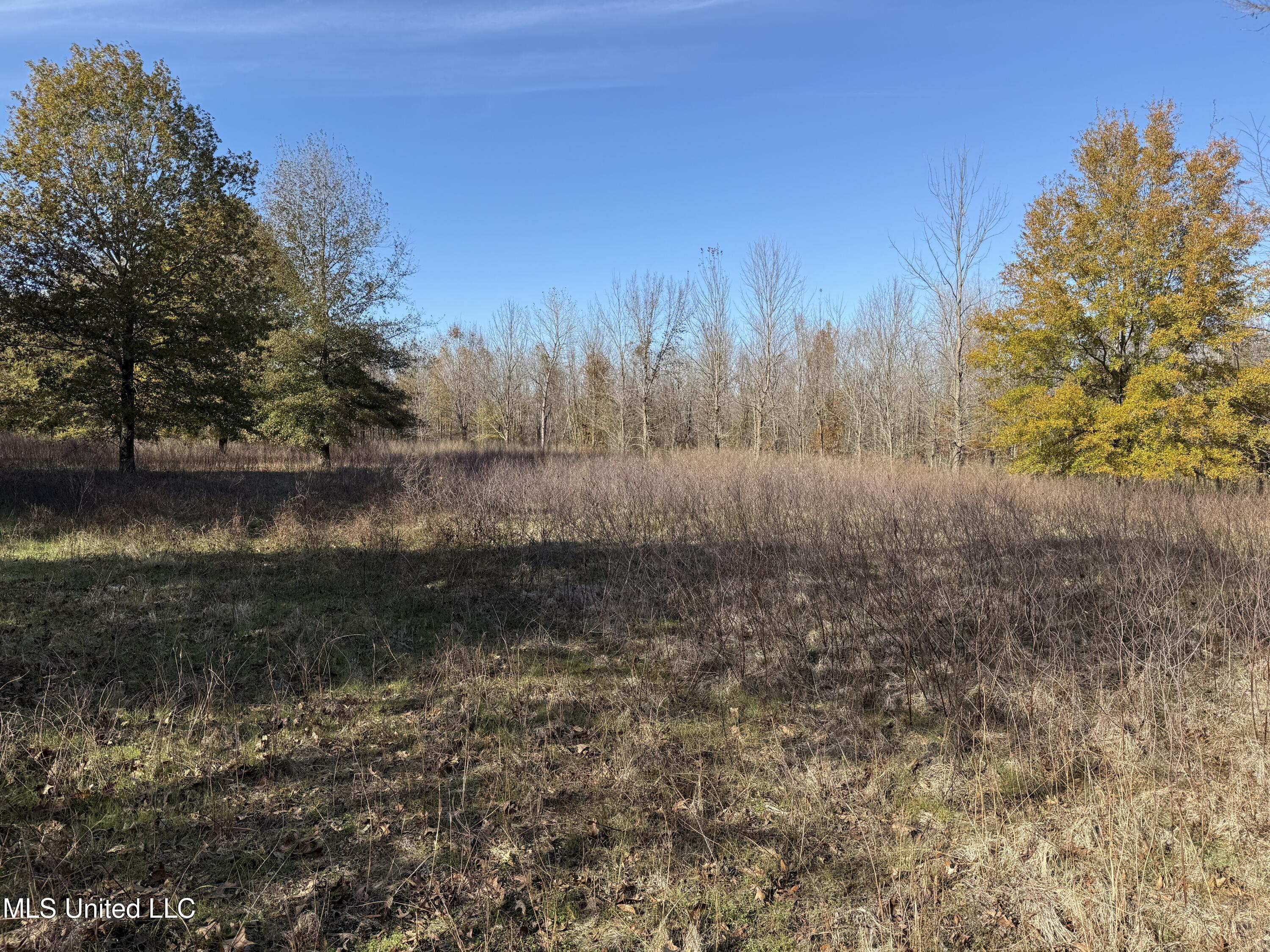 1 Bland Road Lambert, MS 38643 - Photo 2 of 5 IMG_3450