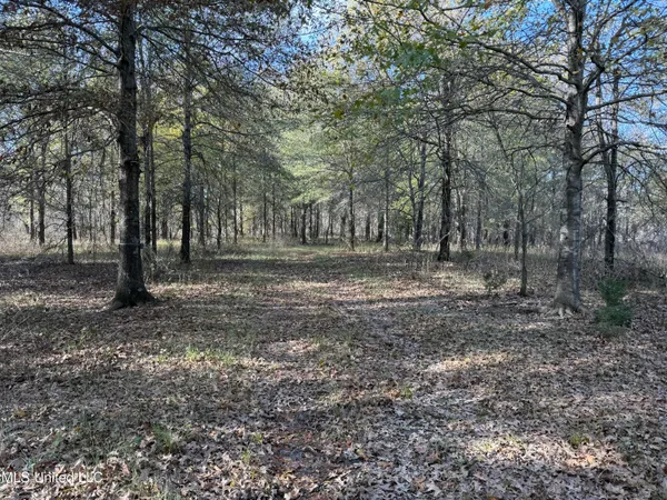 $414,050 | 1 Bland Road, Lambert, MS 38643