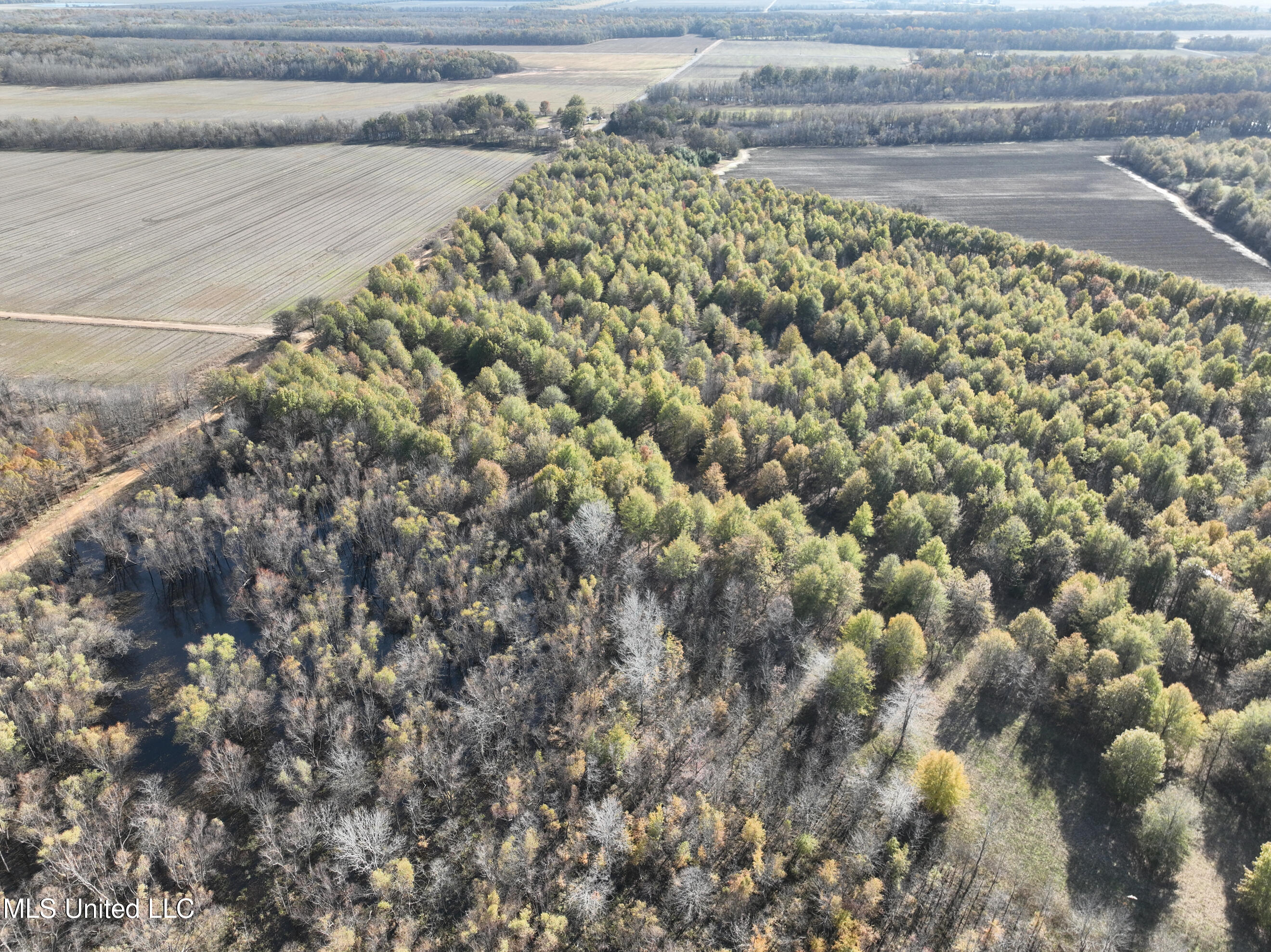 1 Bland Road Lambert, MS 38643 - Photo 5 of 5 DJI_0643