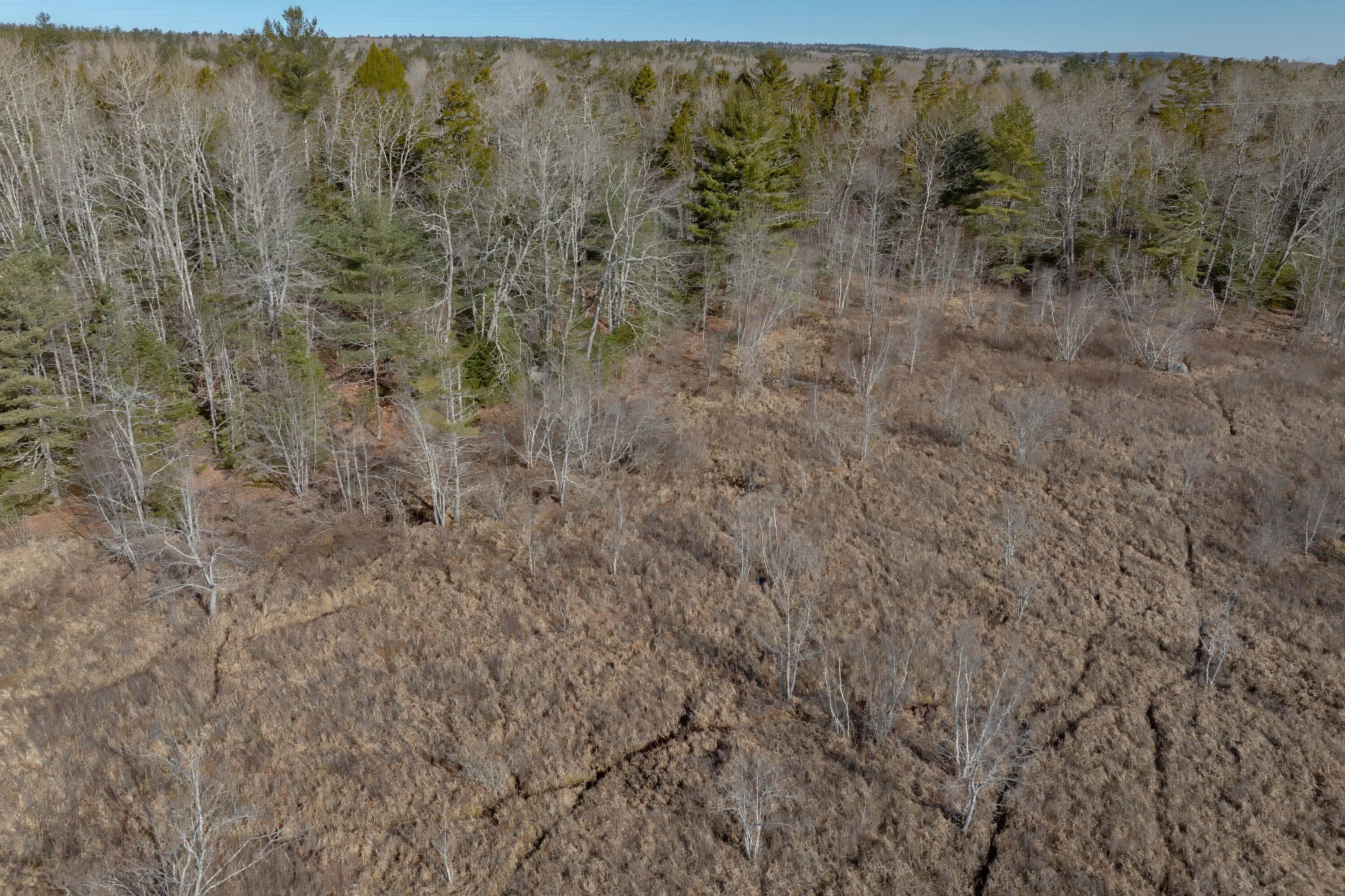 0 Mariaville Road Ellsworth, ME 04605 - Photo 19 of 26 19-Mariaville Road Land-DTP