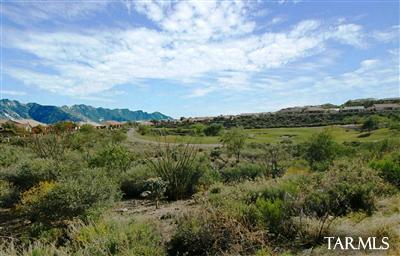 65717 East Desert Rise Drive Tucson, AZ 85739 - Photo 30 of 40