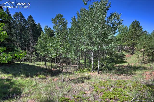 412 Princess Road Cripple Creek, CO 80813 - Photo 42 of 45 Gallery Image 42
