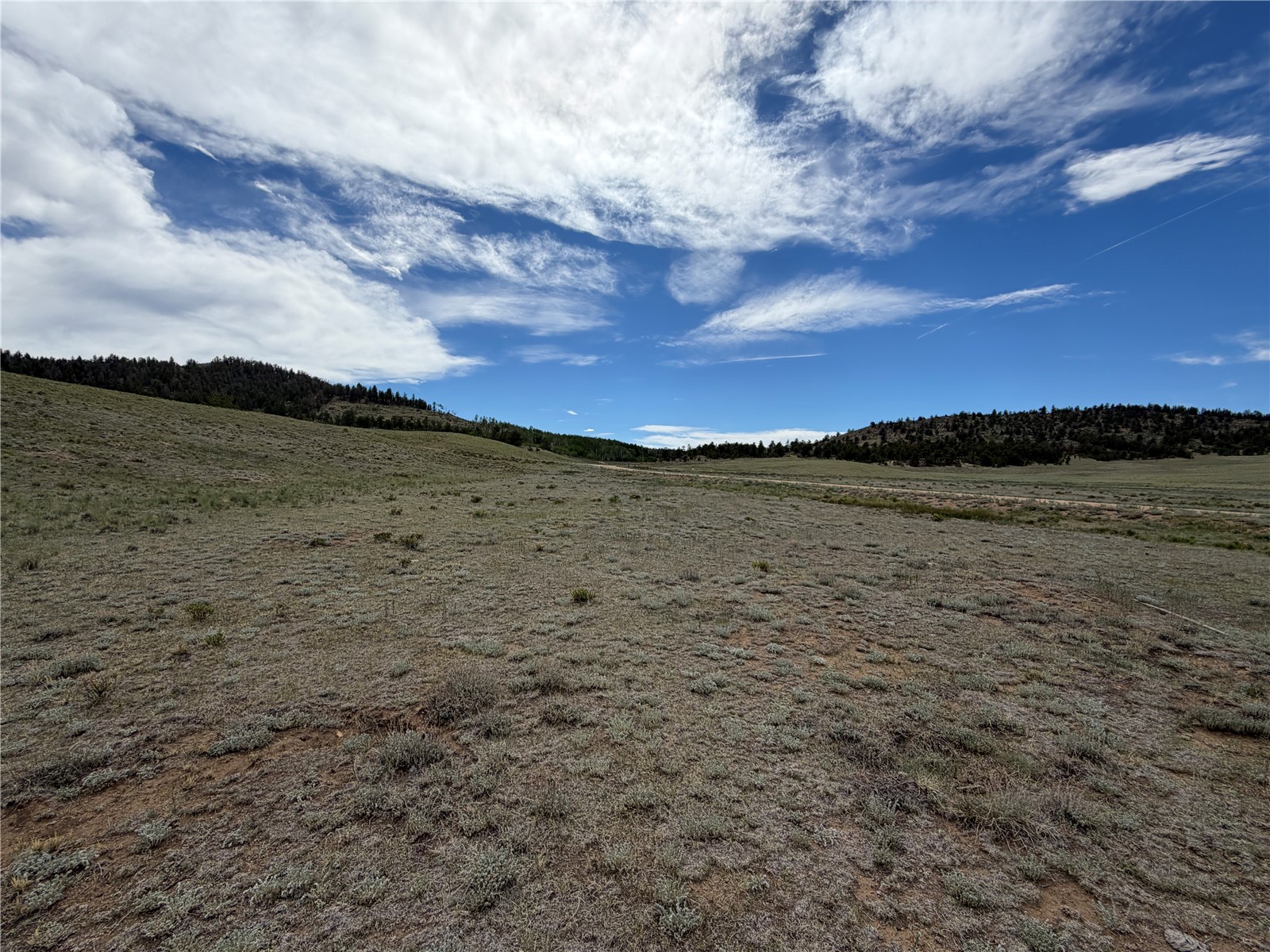 776 Commanche Trail Hartsel, CO 80449 - Photo 8 of 24