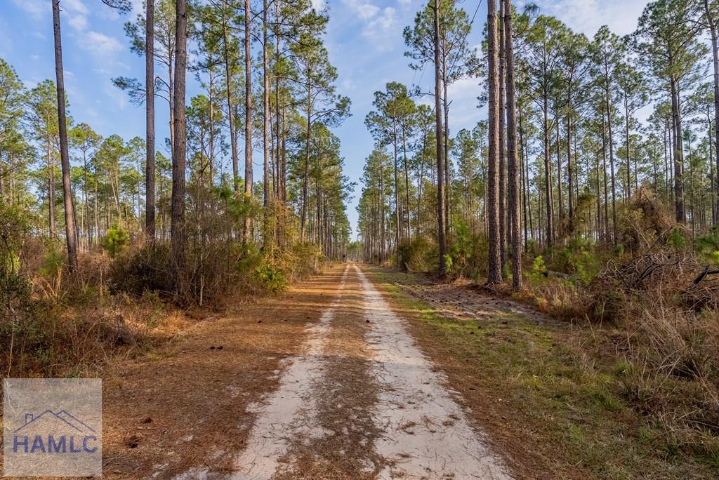 3 Reddish Road Screven, GA 31560 - Photo 44 of 55 Gallery Image 44