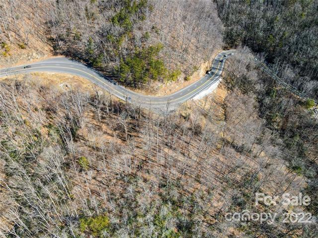 Tbd Tbd Coxe Creek Road Marion, NC 28752 - Photo 12 of 18 a view of a dry yard with large trees