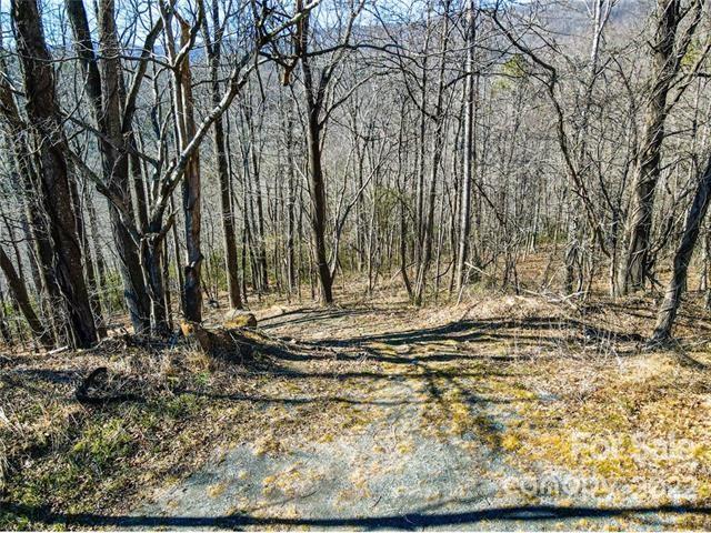 Tbd Tbd Coxe Creek Road Marion, NC 28752 - Photo 18 of 18 a view of a yard with wooden fence