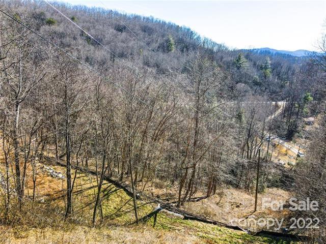 Tbd Tbd Coxe Creek Road Marion, NC 28752 - Photo 2 of 18 a view of a forest filled with trees
