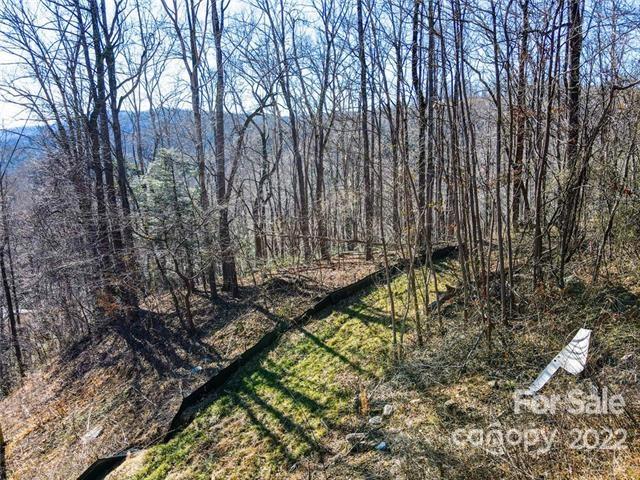 Tbd Tbd Coxe Creek Road Marion, NC 28752 - Photo 3 of 18 a view of outdoor space