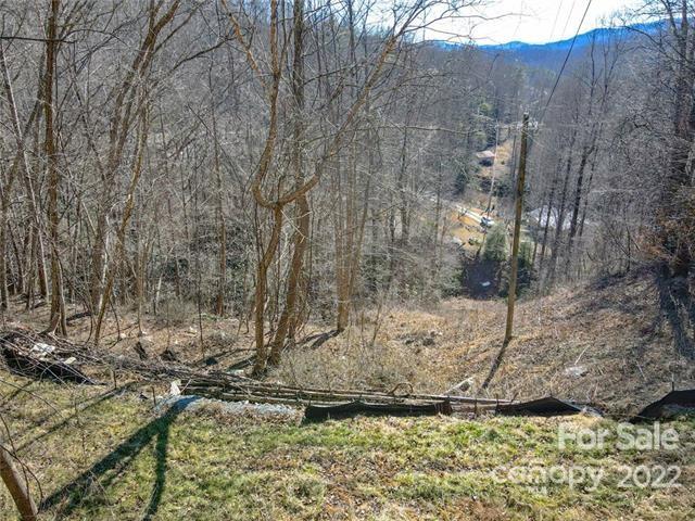 Tbd Tbd Coxe Creek Road Marion, NC 28752 - Photo 4 of 18 a view of a backyard of the house