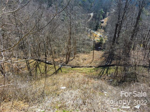 Tbd Tbd Coxe Creek Road Marion, NC 28752 - Photo 5 of 18