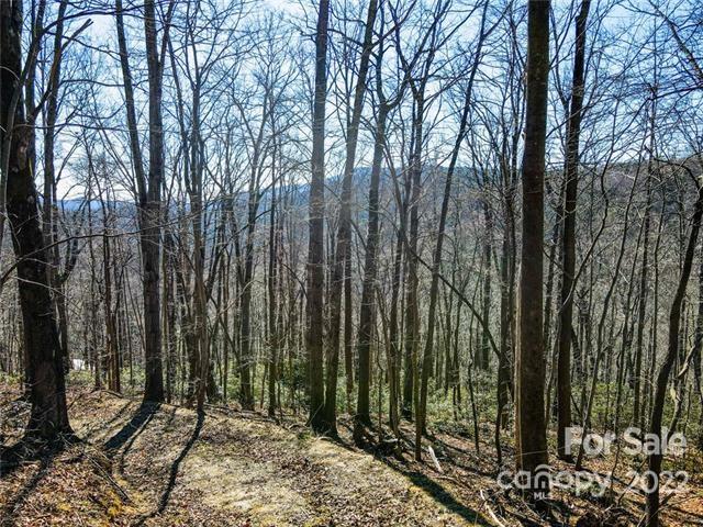 Tbd Tbd Coxe Creek Road Marion, NC 28752 - Photo 6 of 18 a view of backyard with green space