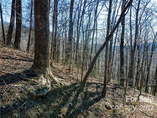 Tbd Tbd Coxe Creek Road Marion, NC 28752 - Photo 7 of 18 a view of outdoor space with lots of trees
