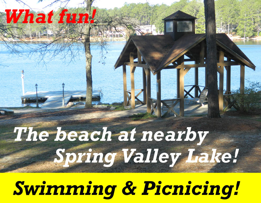 260 Foxcroft Road Whispering Pines, NC 28327 - Photo 50 of 51 WhisperingPinesSpringValleyBeach1