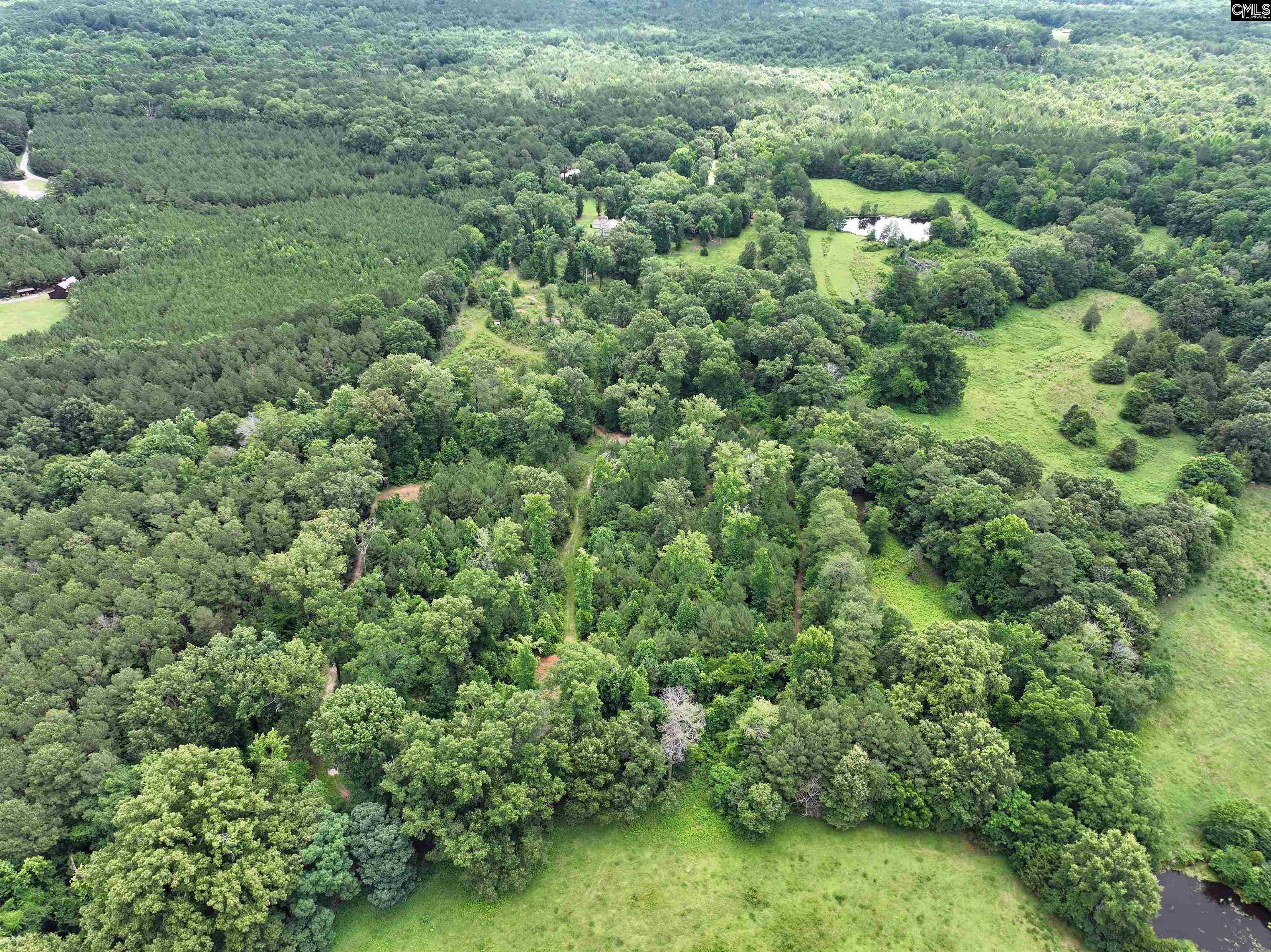 0 Rocky Branch Road Little Mountain, SC 29075 - Photo 18 of 24 a view of a forest with a houses