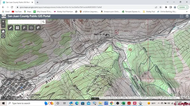 a view of a tree in a yard