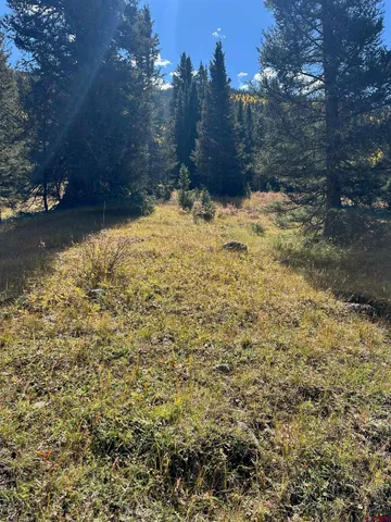 a view of a yard covered with snow in back