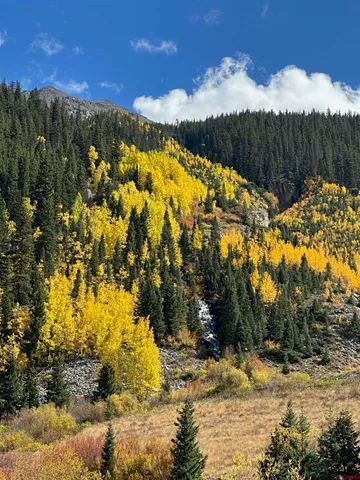 $595,000 | 2 Silverton Co 81433, Silverton, CO 81433