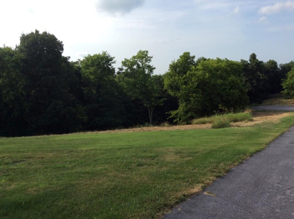1202 Valarie Lane Columbia, TN 38401 - Photo 1 of 10 a backyard of a house with lots of green space and mountain view in back