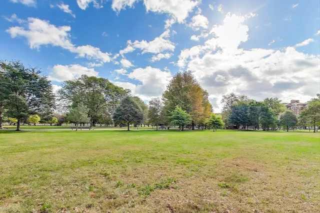 a view of a park with large trees