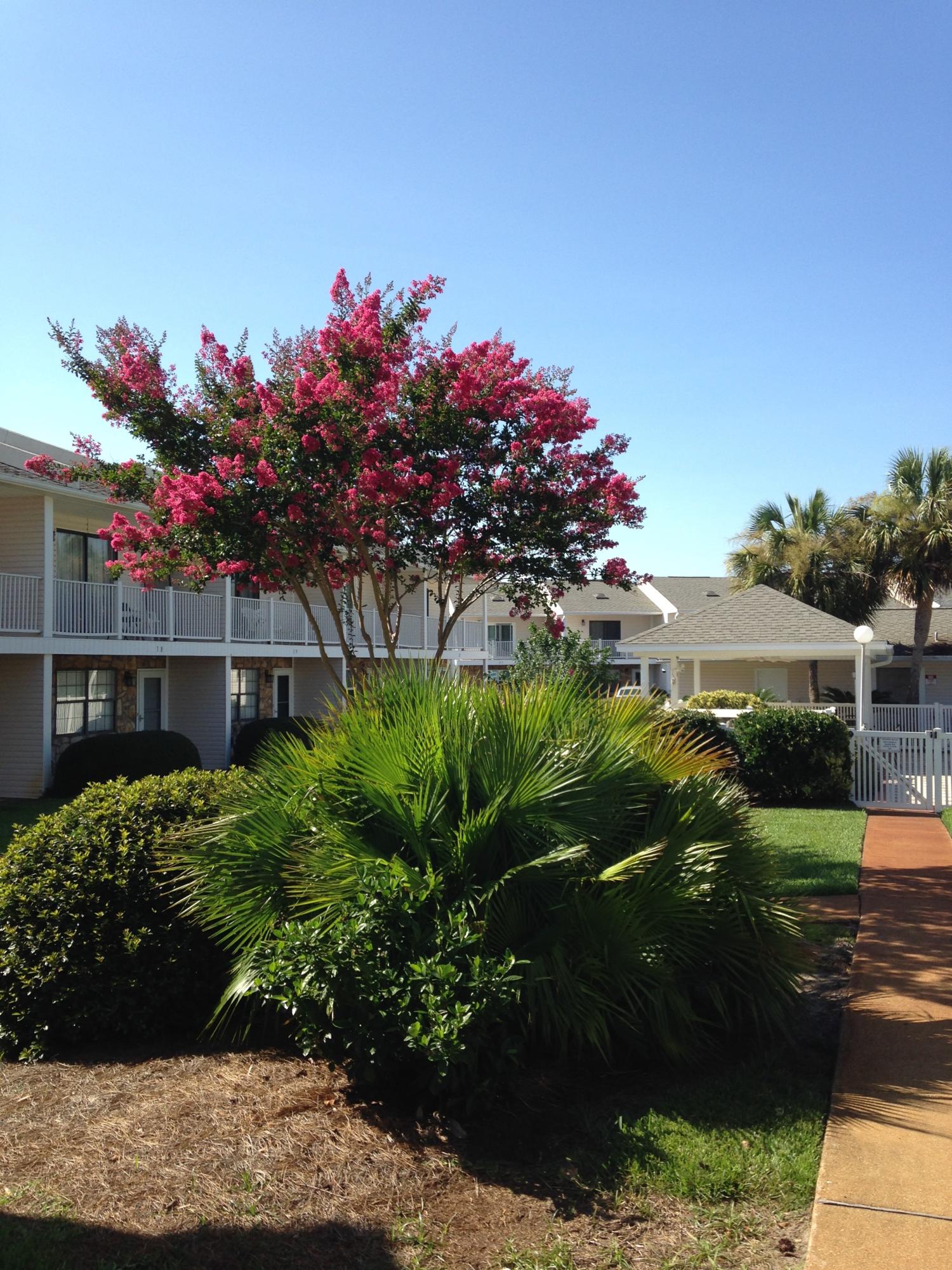 241 Ellis Road, Unit 6 Miramar Beach, FL 32550 - Photo 28 of 30 a front view of house with a yard