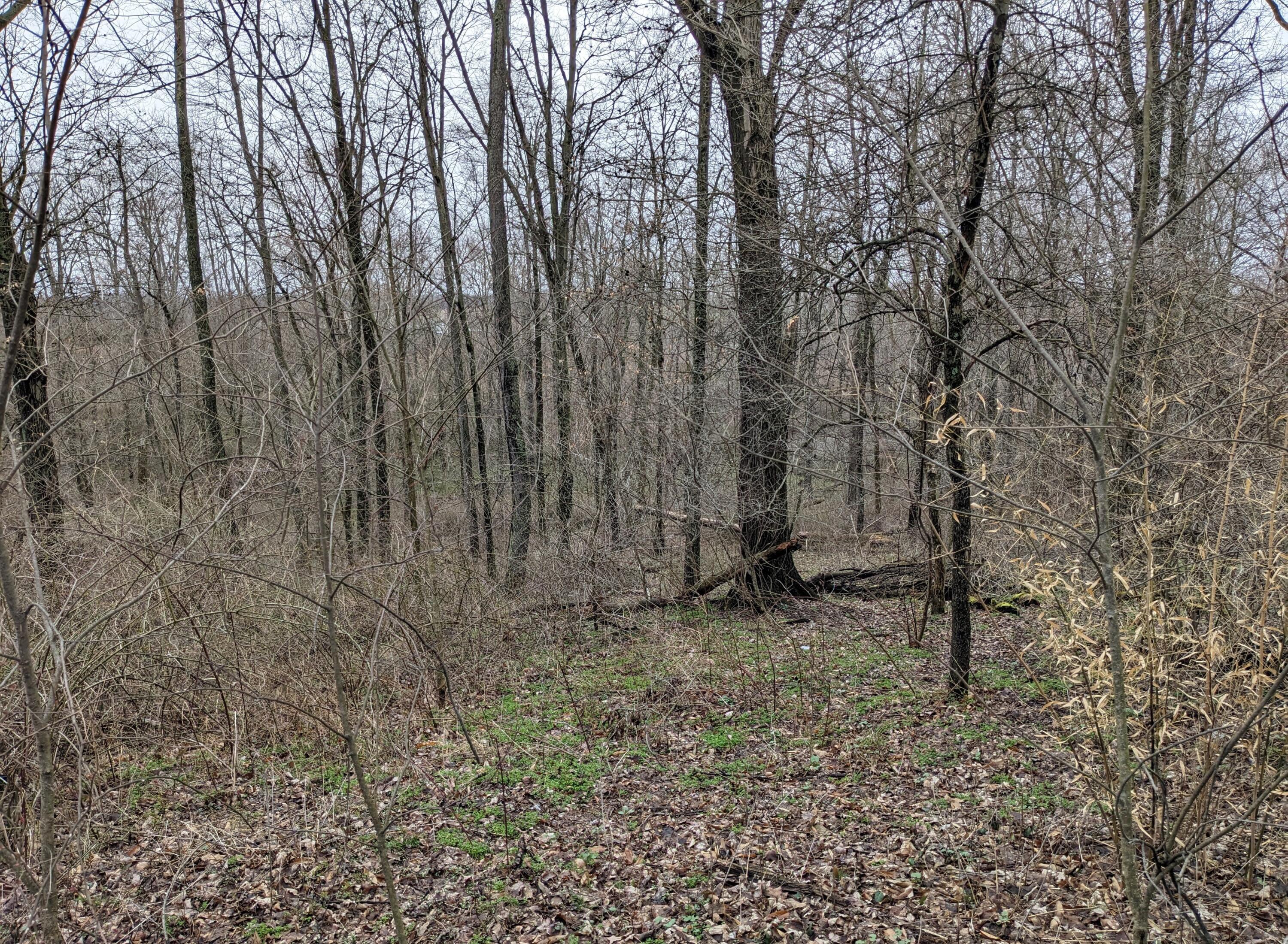 25140 Weber Road Howard, OH 43028 - Photo 17 of 22 17